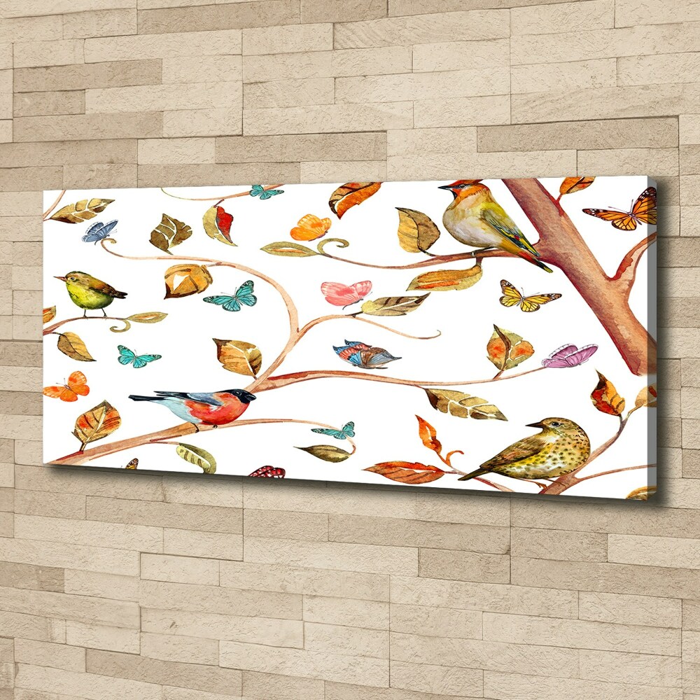 Tableau photo sur toile Oiseaux et papillons