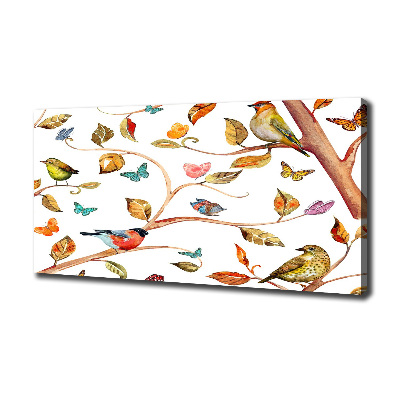 Tableau photo sur toile Oiseaux et papillons