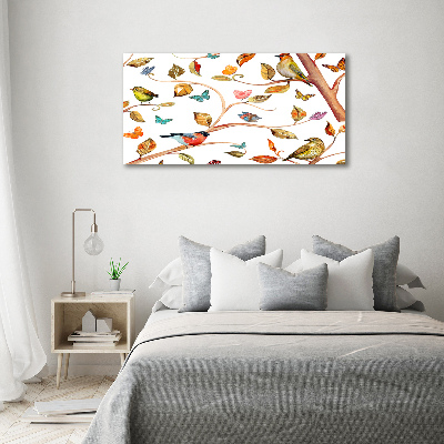 Tableau photo sur toile Oiseaux et papillons