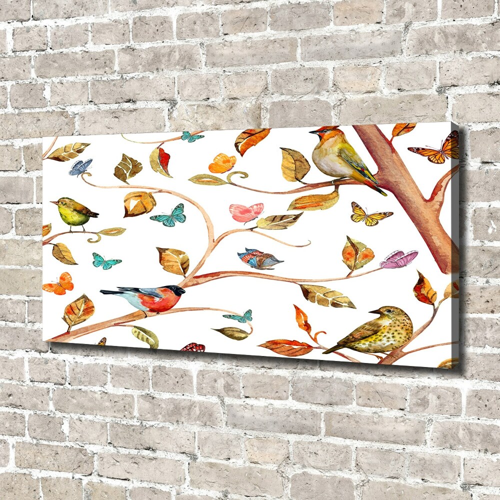 Tableau photo sur toile Oiseaux et papillons