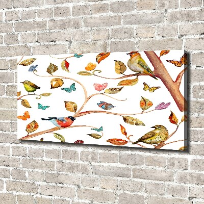 Tableau photo sur toile Oiseaux et papillons