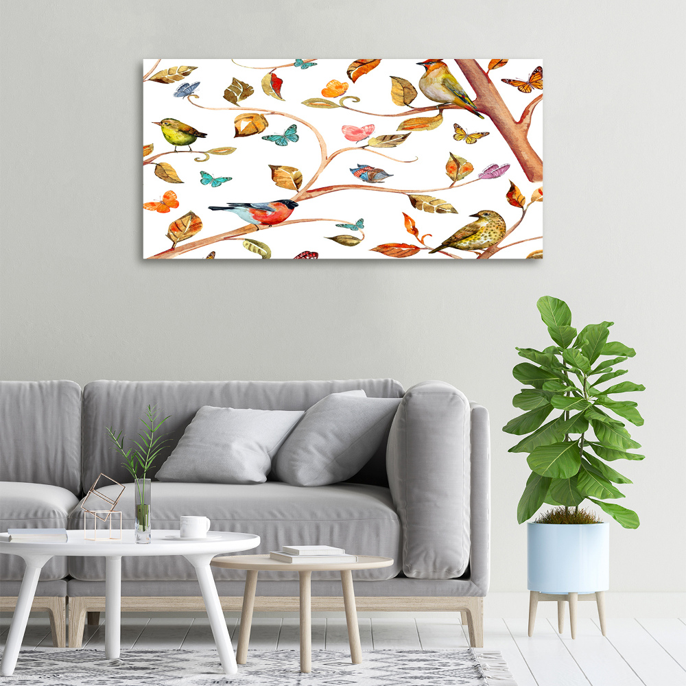 Tableau photo sur toile Oiseaux et papillons