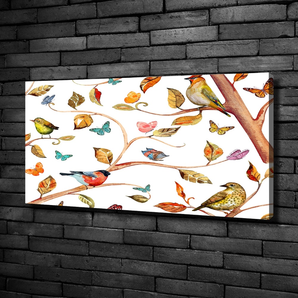 Tableau photo sur toile Oiseaux et papillons