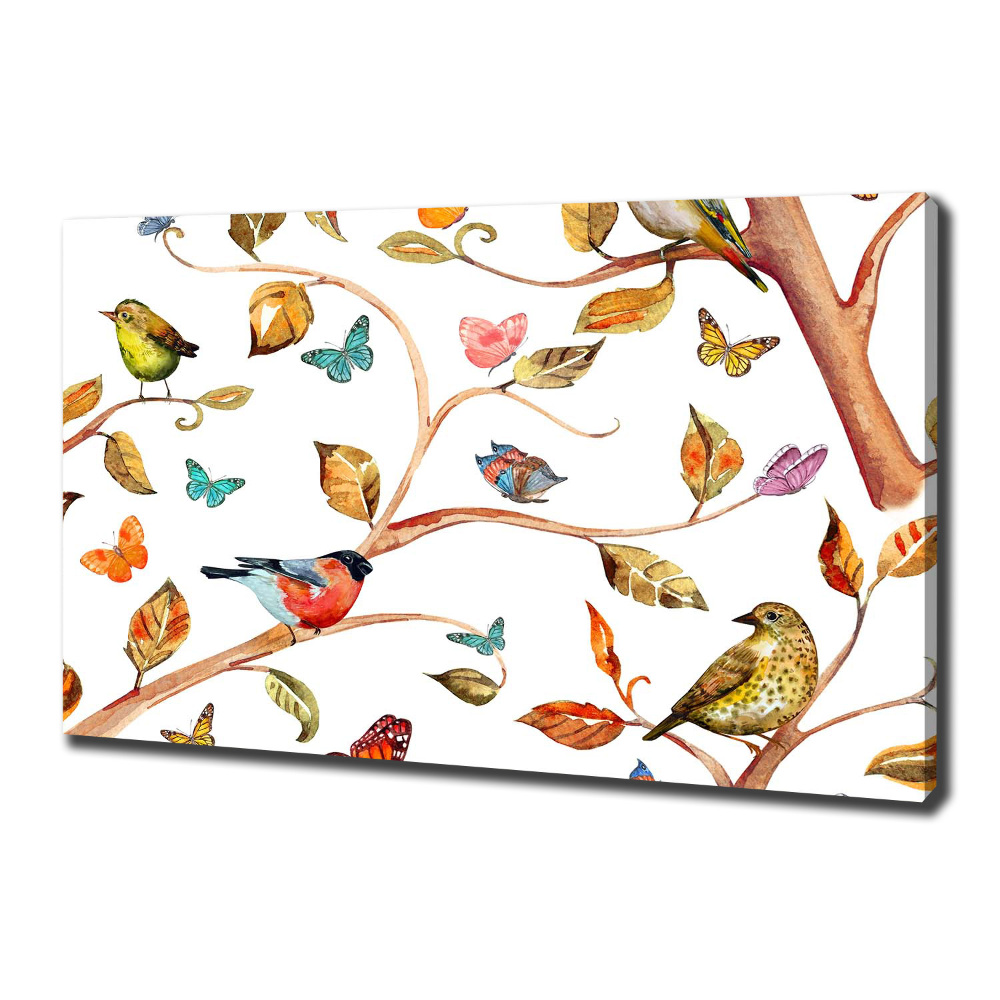 Tableau photo sur toile Oiseaux et papillons