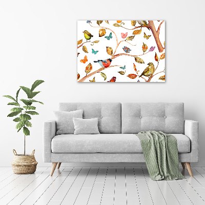 Tableau photo sur toile Oiseaux et papillons