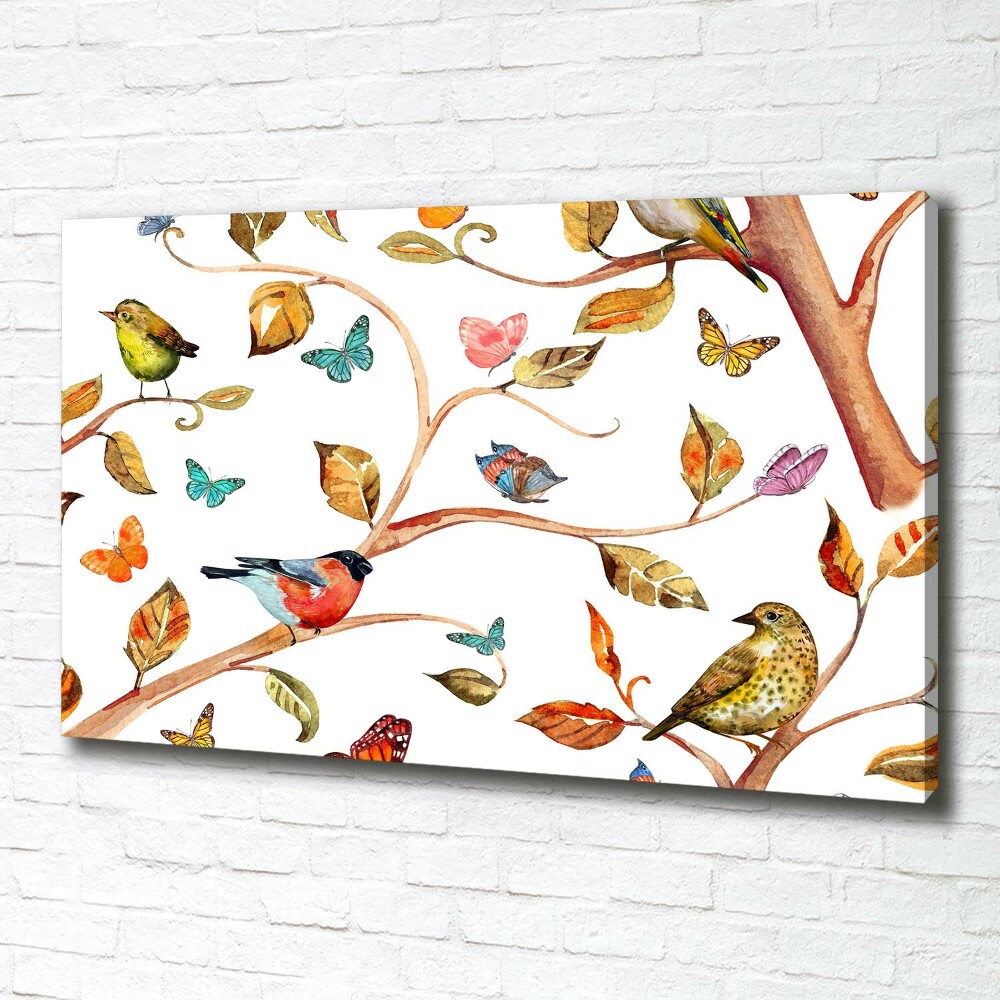 Tableau photo sur toile Oiseaux et papillons