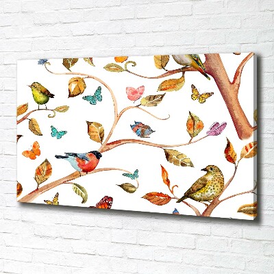 Tableau photo sur toile Oiseaux et papillons