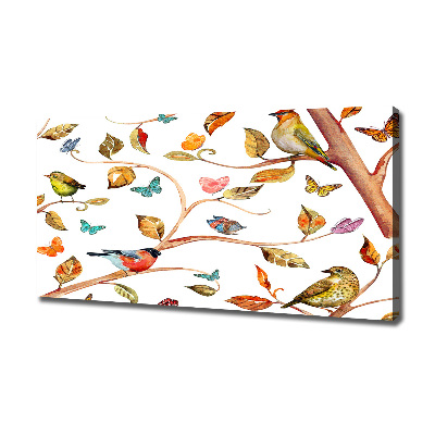 Tableau photo sur toile Oiseaux et papillons