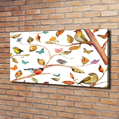 Tableau photo sur toile Oiseaux et papillons