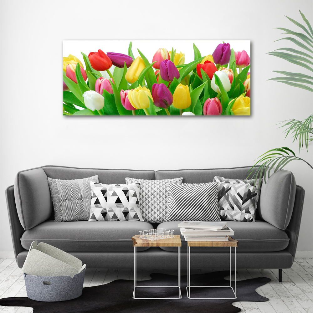 Tableau photo sur toile Tulipes colorées