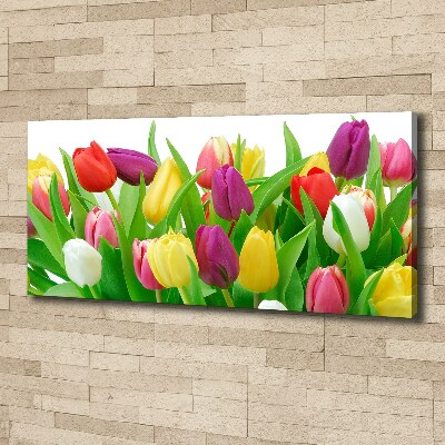 Tableau photo sur toile Tulipes colorées