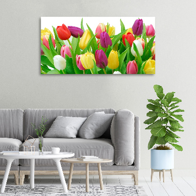 Tableau photo sur toile Tulipes colorées