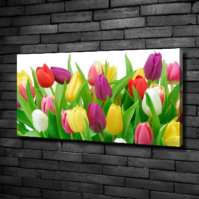 Tableau photo sur toile Tulipes colorées