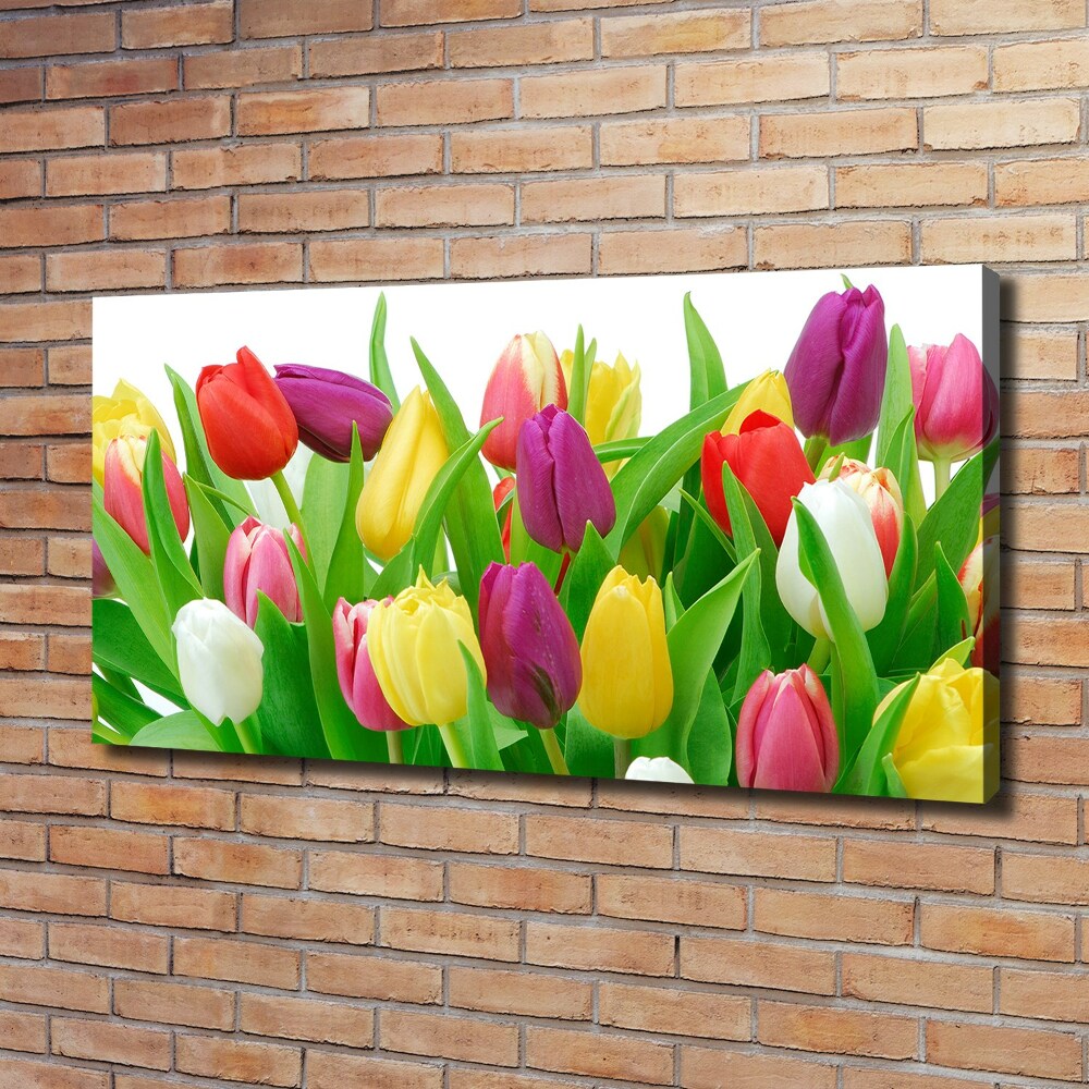 Tableau photo sur toile Tulipes colorées