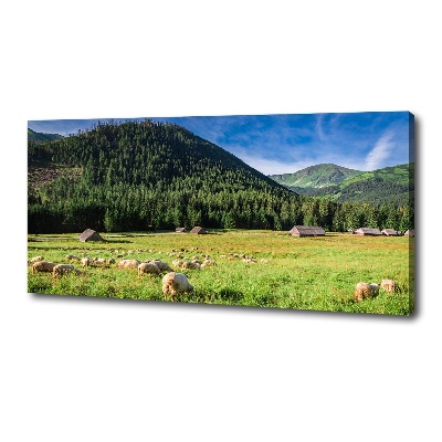 Tableau photo sur toile Mouton dans les Tatras