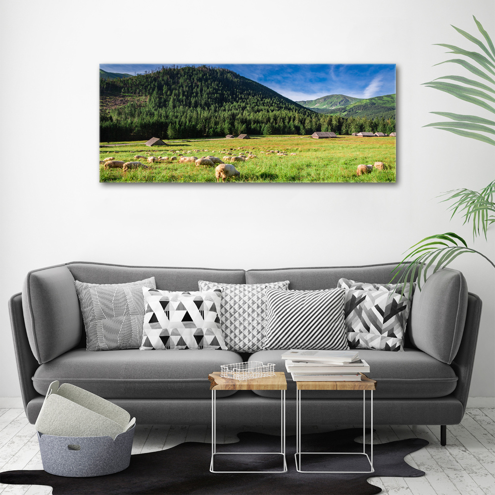 Tableau photo sur toile Mouton dans les Tatras