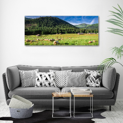 Tableau photo sur toile Mouton dans les Tatras