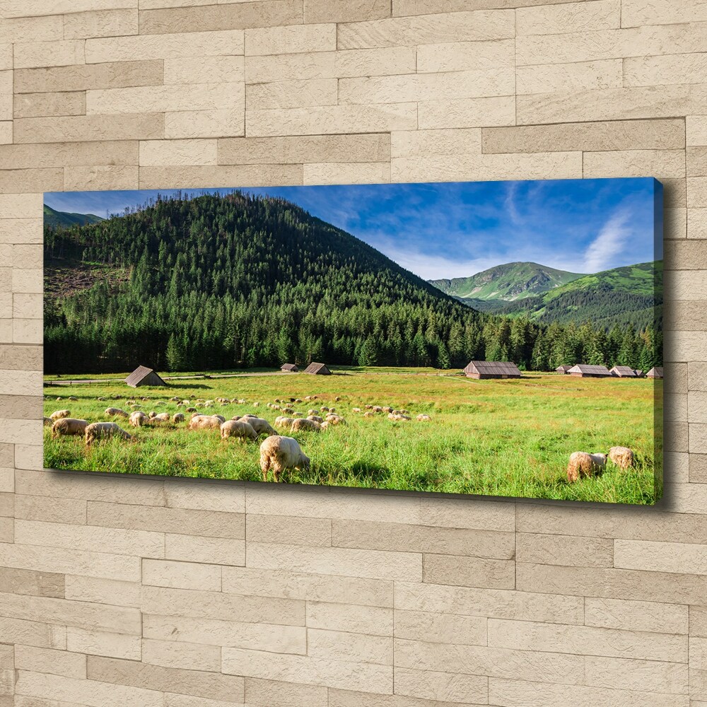 Tableau photo sur toile Mouton dans les Tatras