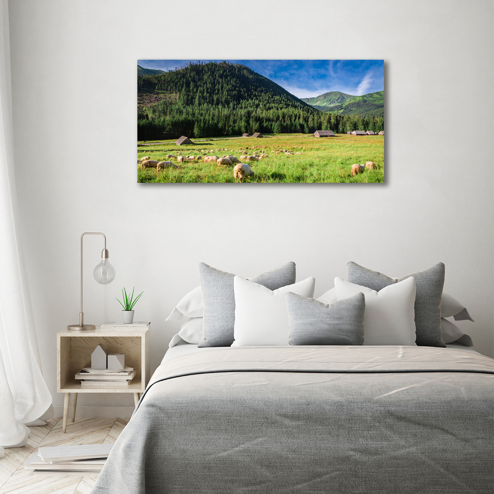 Tableau photo sur toile Mouton dans les Tatras