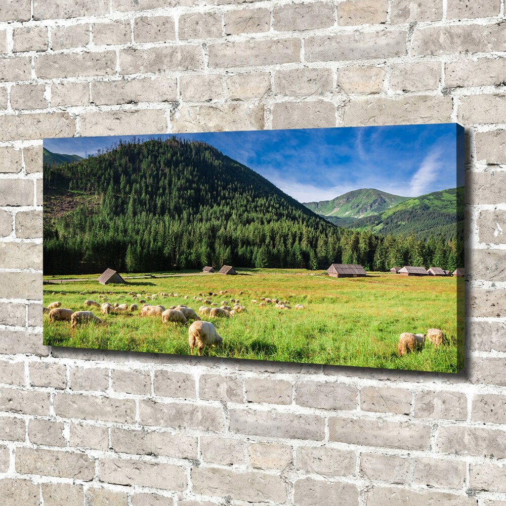 Tableau photo sur toile Mouton dans les Tatras