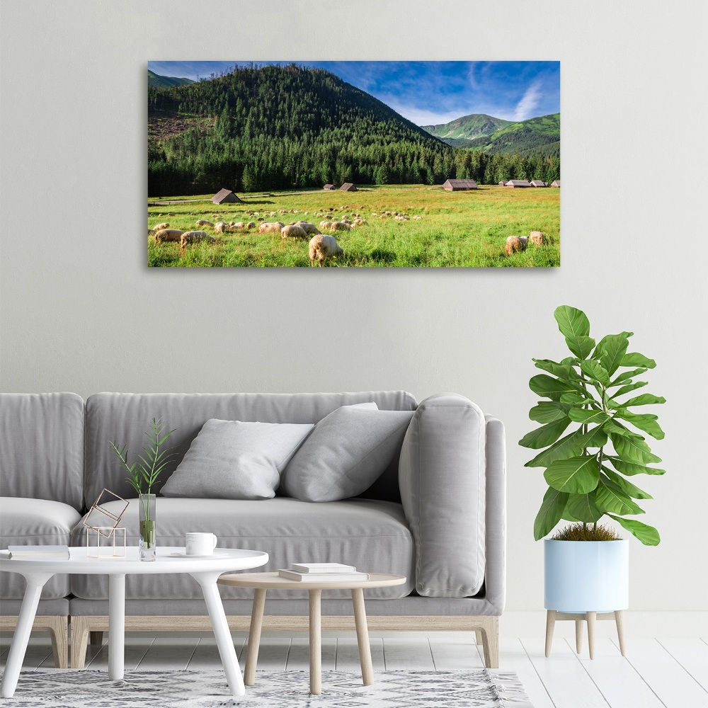 Tableau photo sur toile Mouton dans les Tatras