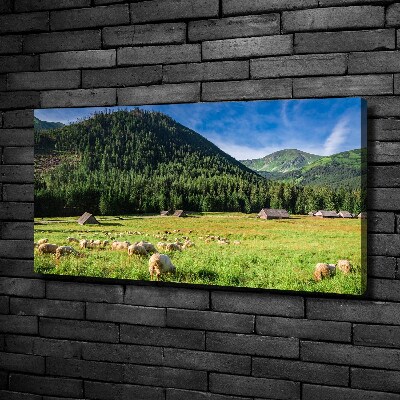 Tableau photo sur toile Mouton dans les Tatras