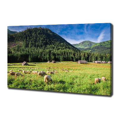 Tableau photo sur toile Mouton dans les Tatras