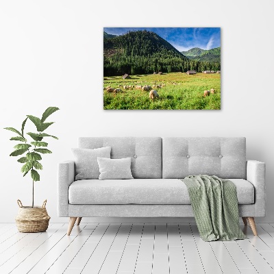 Tableau photo sur toile Mouton dans les Tatras