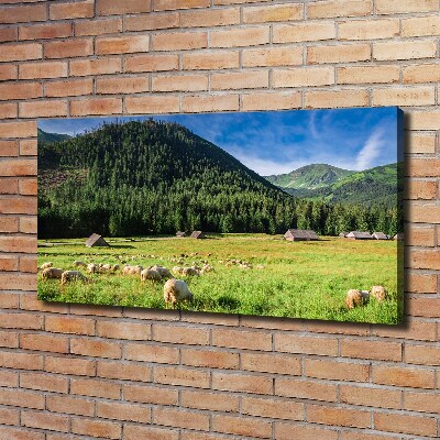 Tableau photo sur toile Mouton dans les Tatras