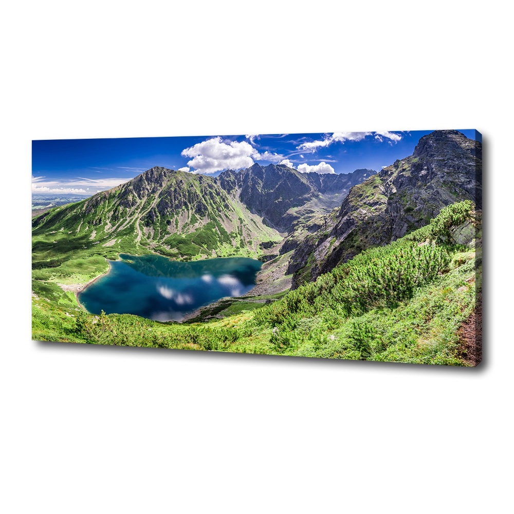 Tableau imprimé sur toile Étang noir des Tatras