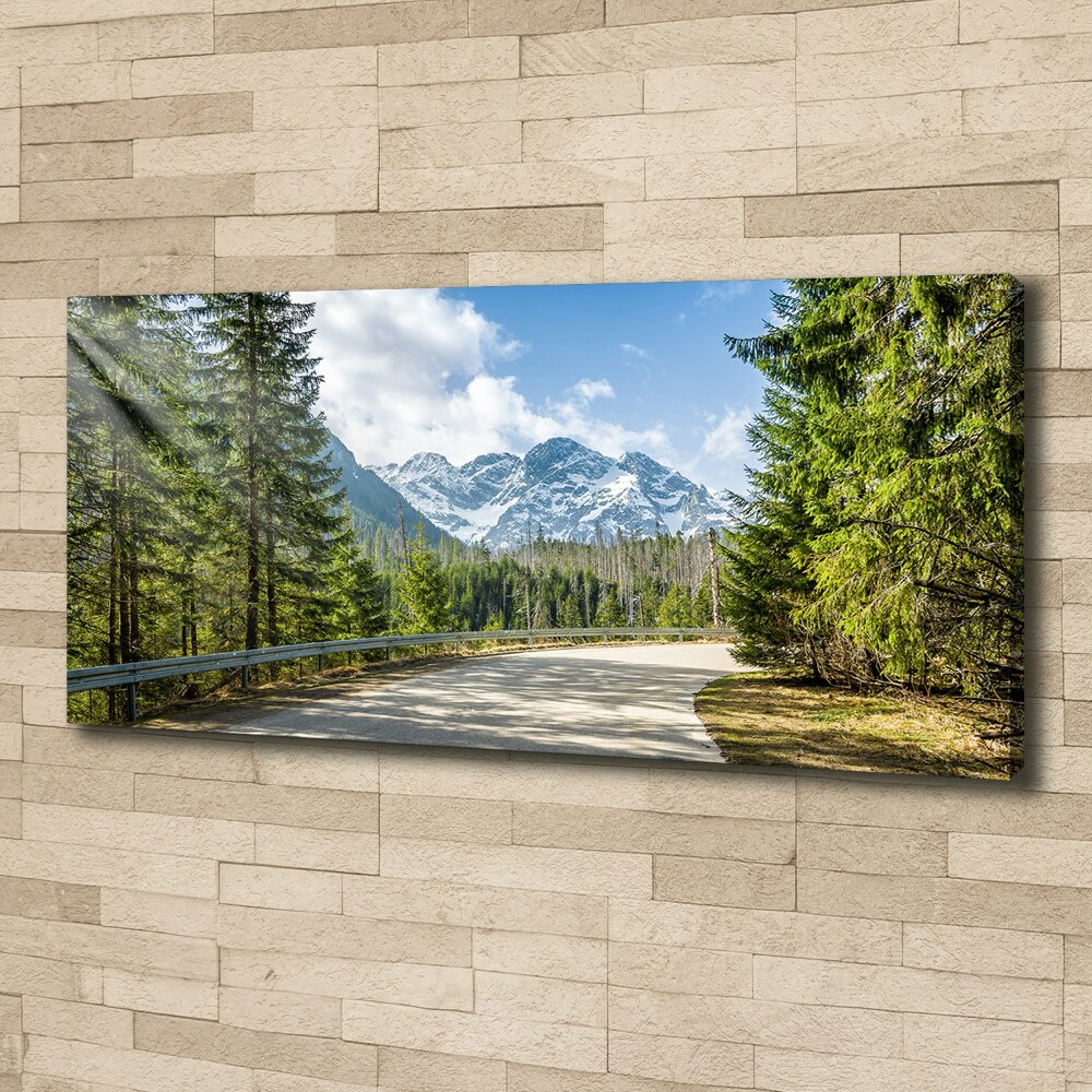 Tableau mural sur toile Route des Tatras