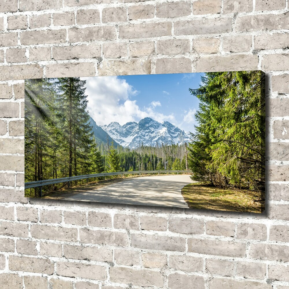 Tableau mural sur toile Route des Tatras