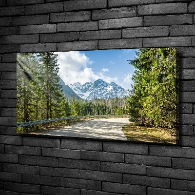 Tableau mural sur toile Route des Tatras