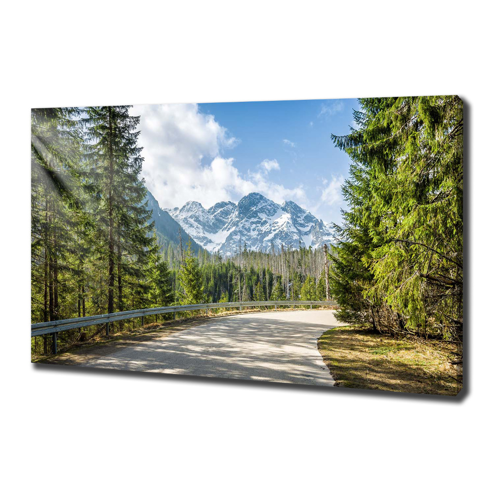 Tableau mural sur toile Route des Tatras