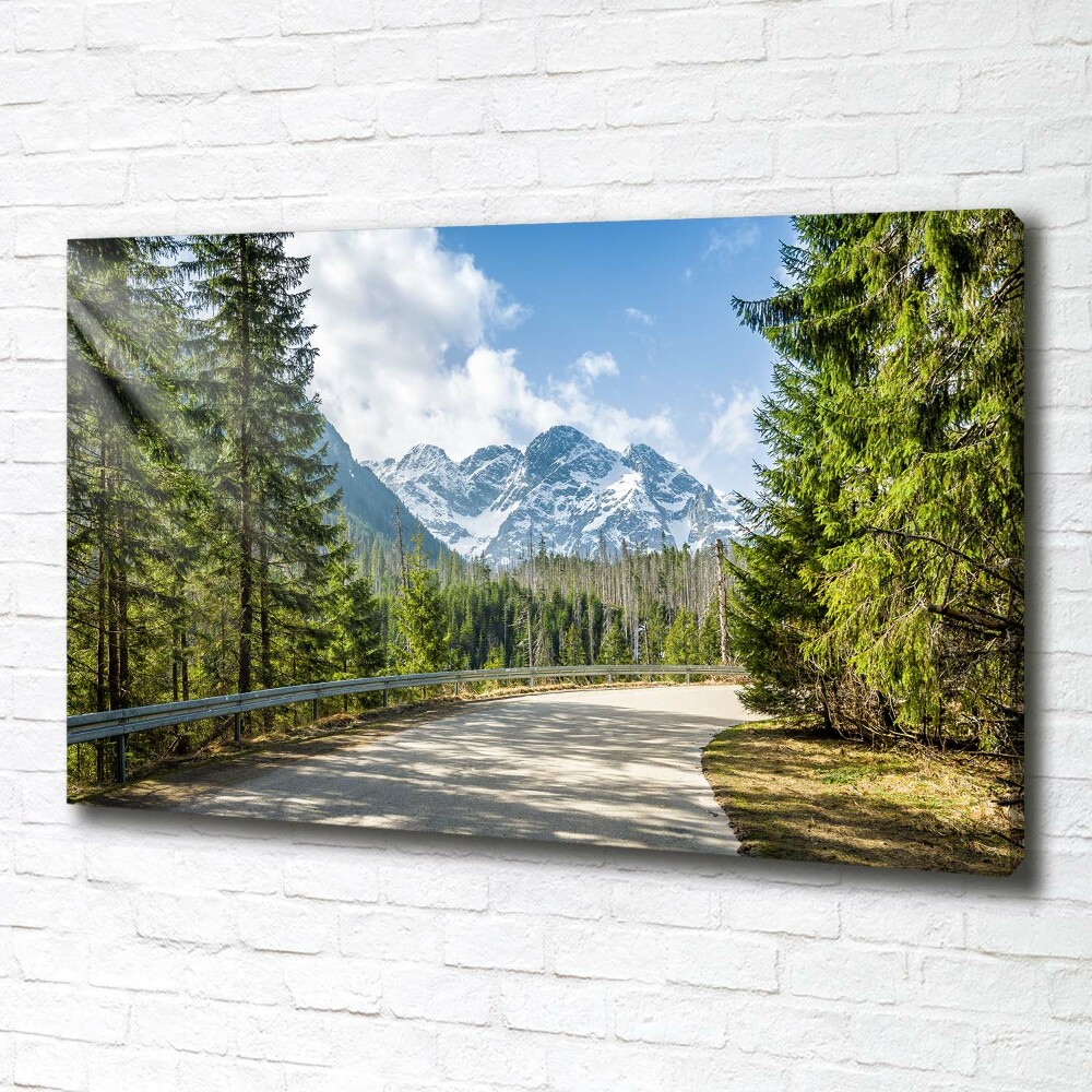 Tableau mural sur toile Route des Tatras