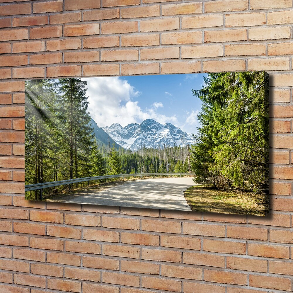 Tableau mural sur toile Route des Tatras