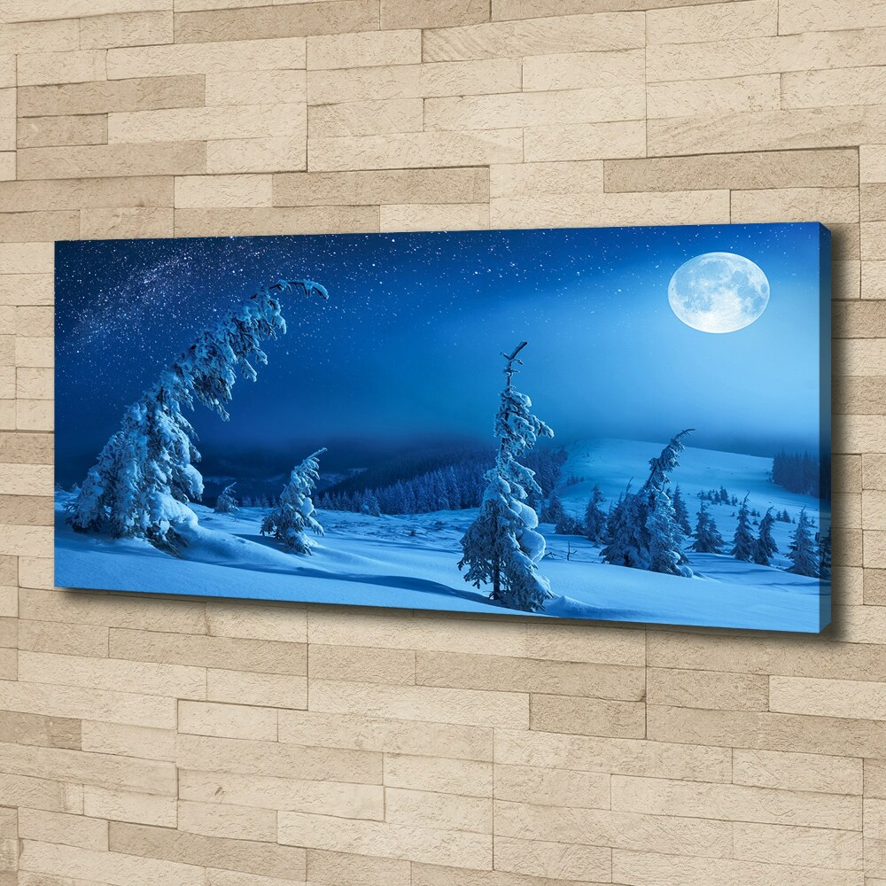 Tableau mural sur toile Clair de lune