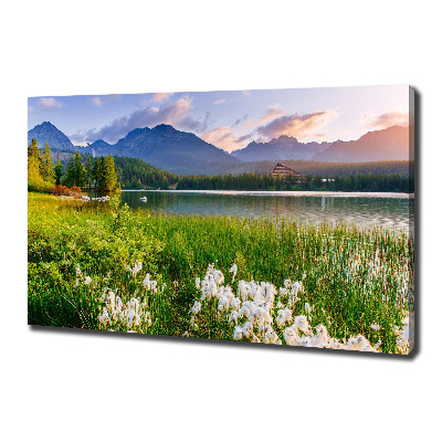 Tableau photo sur toile Lac dans les montagnes