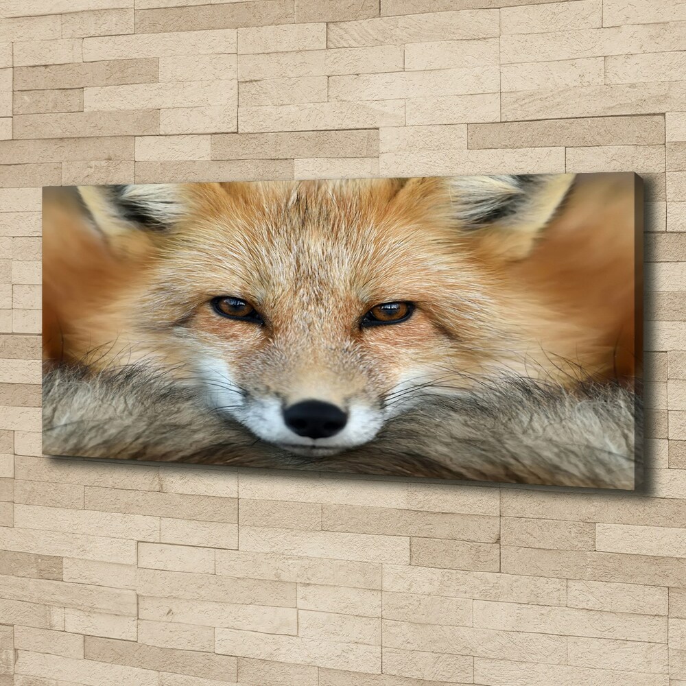 Tableau imprimé sur toile Renard