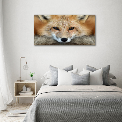 Tableau imprimé sur toile Renard