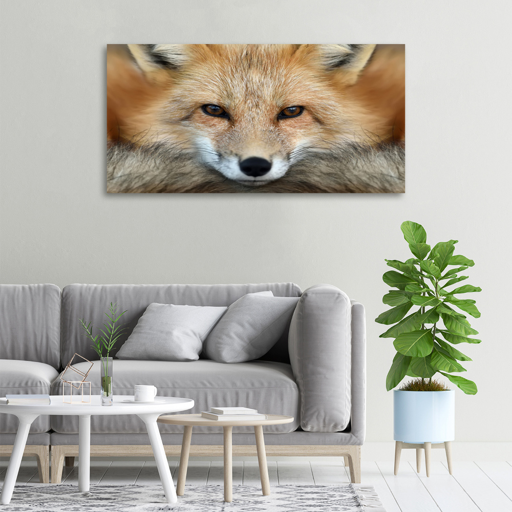 Tableau imprimé sur toile Renard