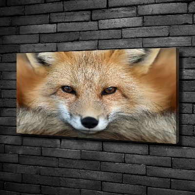 Tableau imprimé sur toile Renard