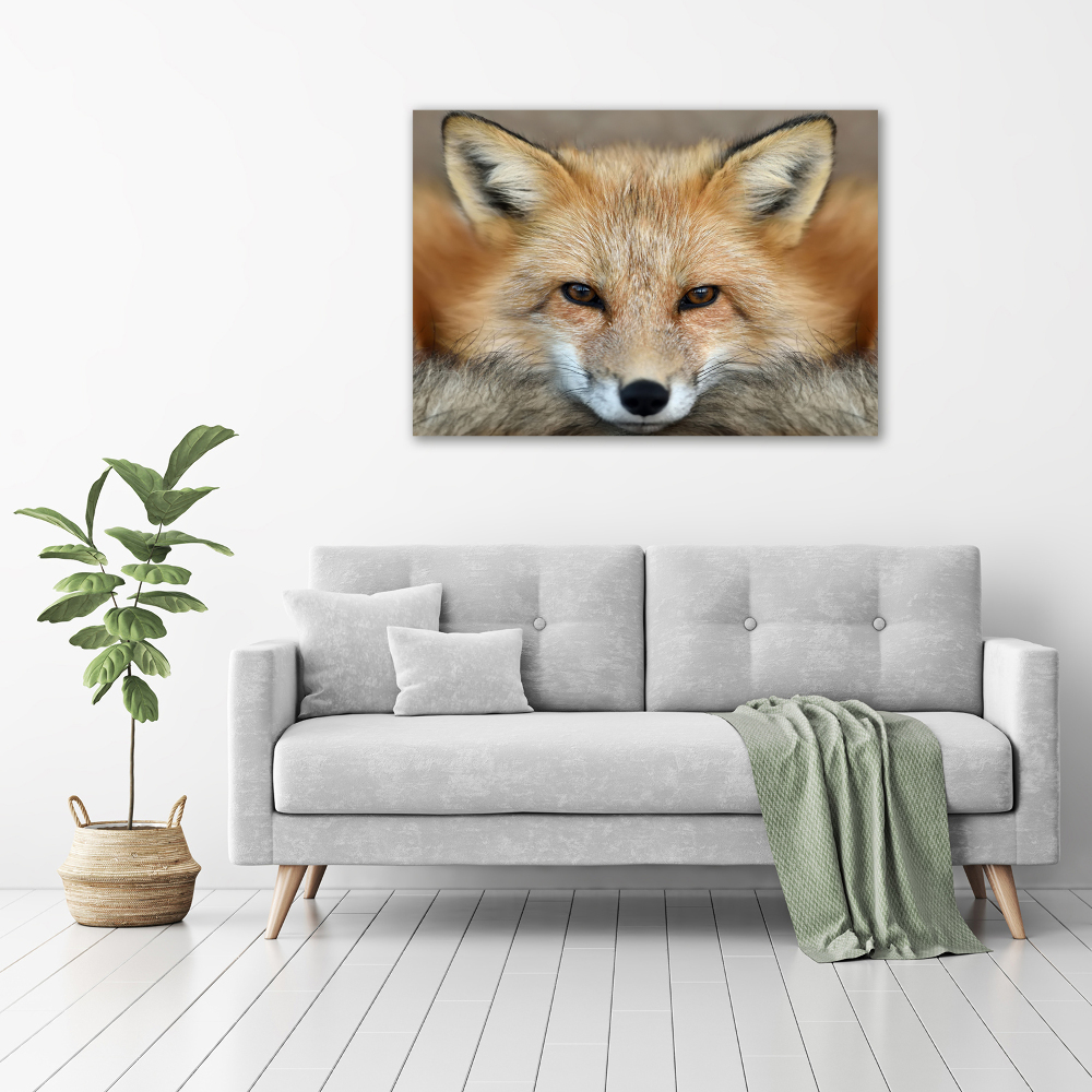 Tableau imprimé sur toile Renard