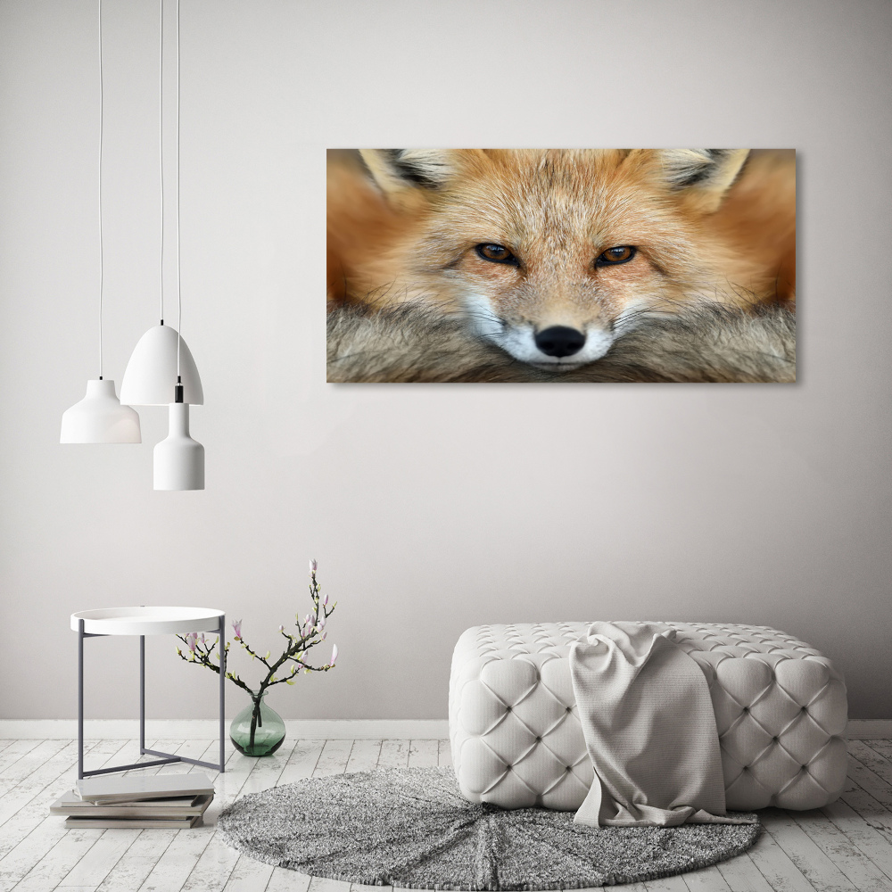 Tableau imprimé sur toile Renard