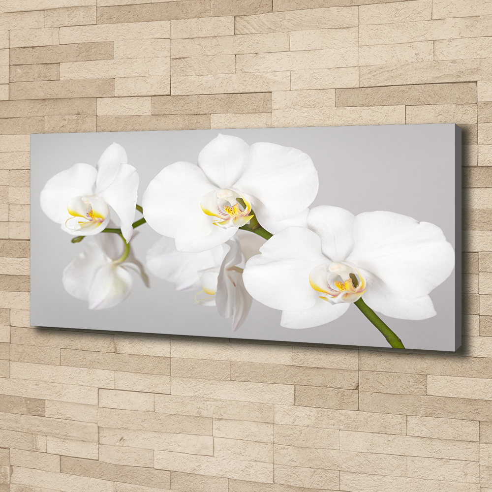 Tableau toile imprimée Orchidée