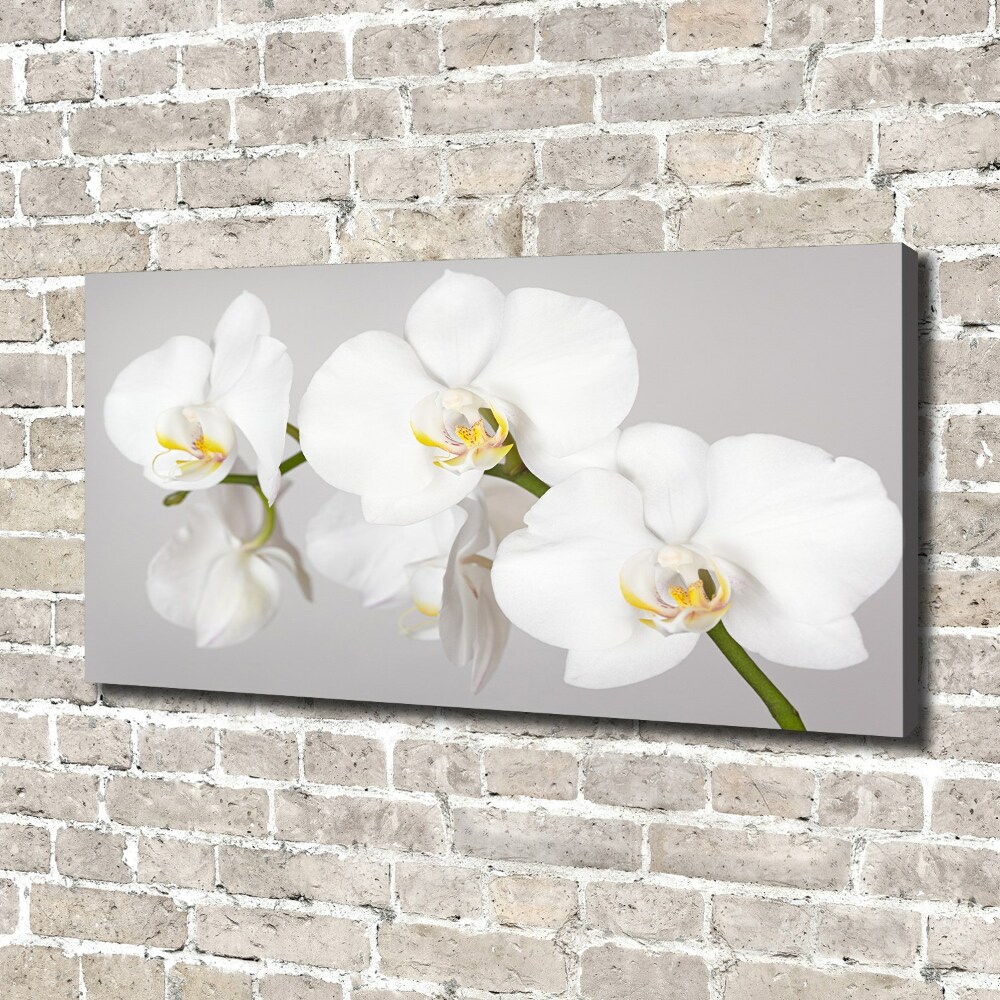 Tableau toile imprimée Orchidée