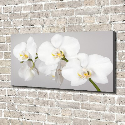 Tableau toile imprimée Orchidée