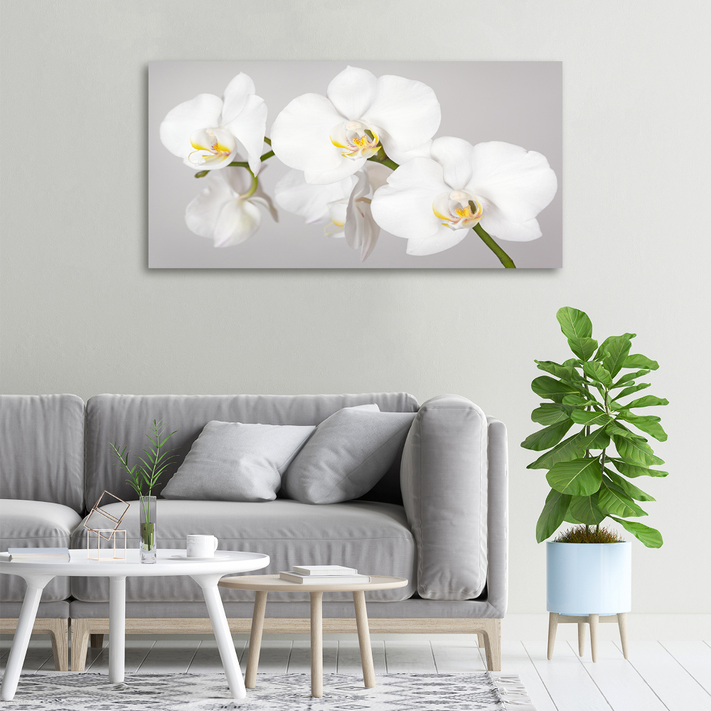 Tableau toile imprimée Orchidée