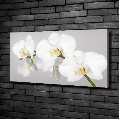 Tableau toile imprimée Orchidée