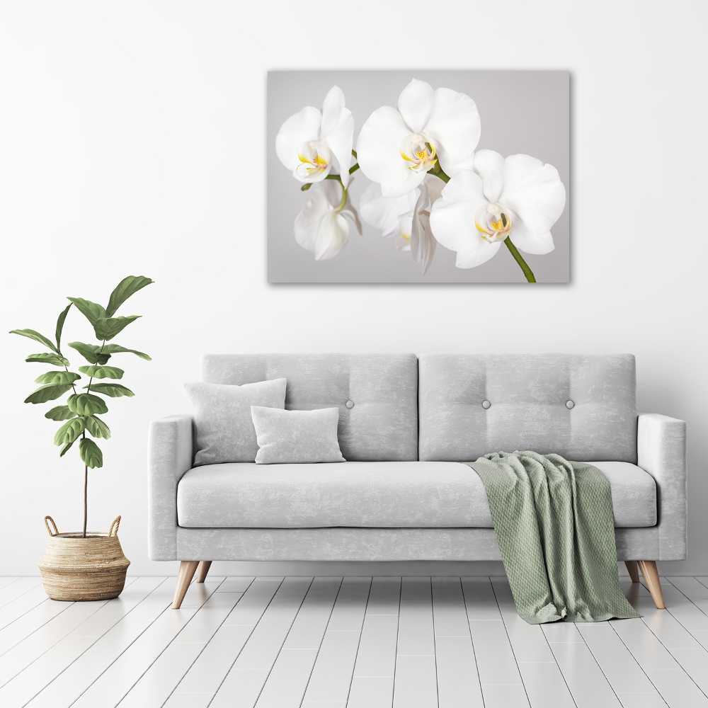 Tableau toile imprimée Orchidée